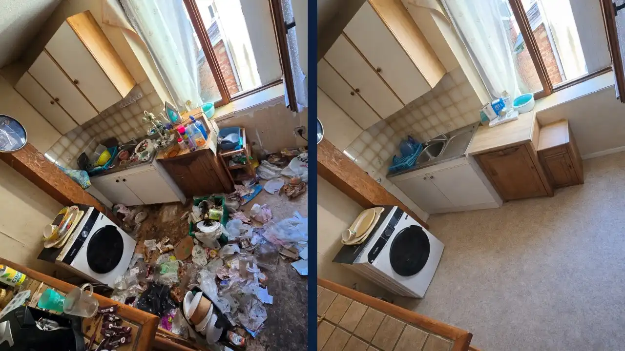 Nettoyage Syndrome de Diogène - Expertise